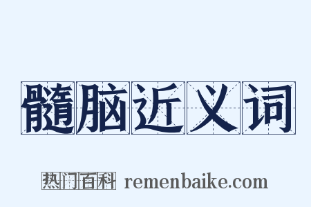 髓脑近义词是什么意思的图片